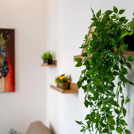 Apartment Pascoli Garden Citta Studi